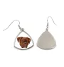 Bordeauxdogge, Dogue de Bordeaux - Ohrringe mit einem Bild und dem Schriftzug "Geometrischer Hund" von Art-Dog
