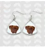 Dogue de Bordeaux, French Mastiff, Bordeauxdog - earrings with a picture and the inscription geometric dog Art-Dog