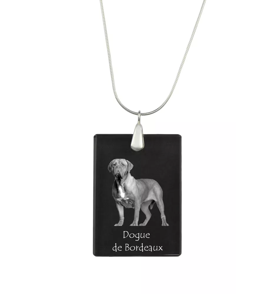 Dogue de Bordeaux, French Mastiff, Bordeauxdog - Crystal pendant with dog, silver necklace with photo, personalised pendant by Art-Dog brand