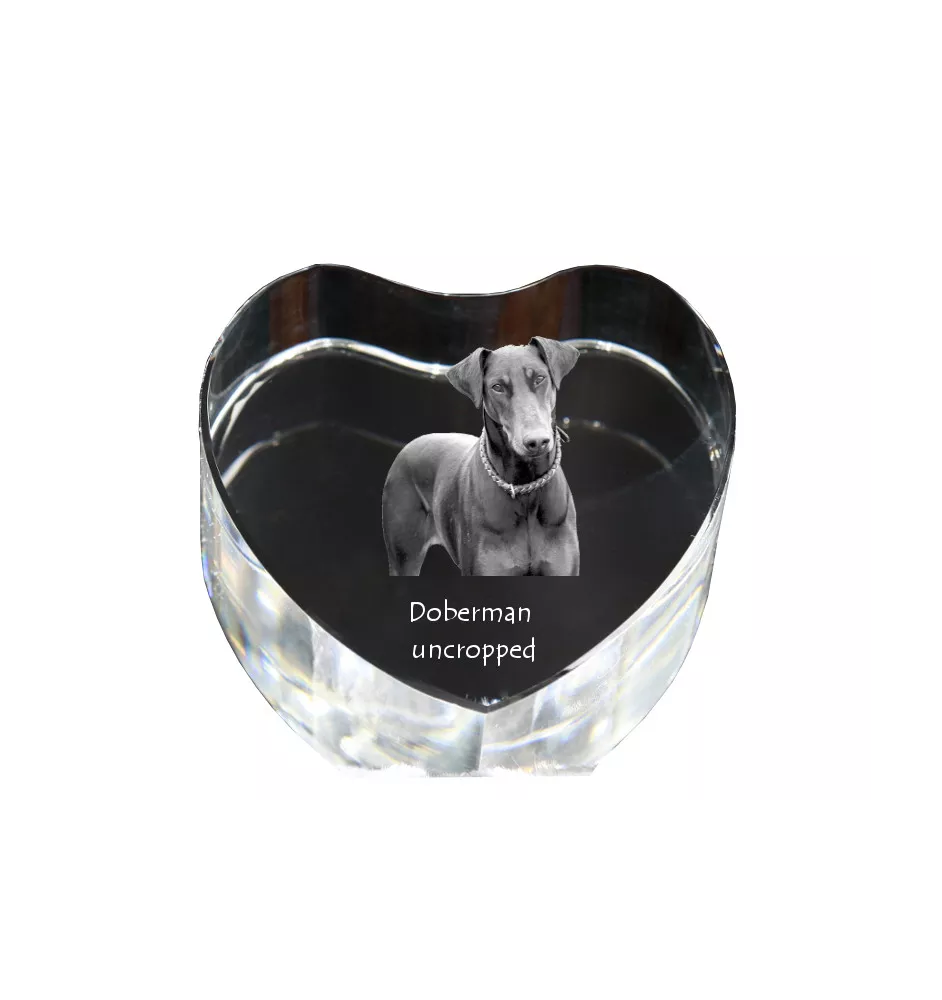 Dobermann, Dobermann Pinscher I - une photo de chien dans un cristal, un cœur en cristal, un cadre photo exceptionnel de la marque Art-Dog