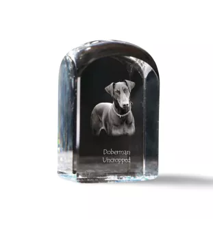 Dobermann, Doberman Pinscher, Dobie I - crystal cube with a photo, photo of a dog in crystal, cubic paperweight from Art-Dog brand