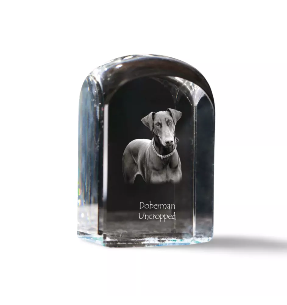 Dobermann, Dobermann Pinscher I - un cube de cristal avec une photo, une photo de chien dans le cristal, un presse-papiers cubique de la marque Art-Dog