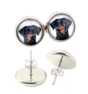 Dobermann, Dobermann Pinscher II - boucles d'oreilles dans une boîte, votre photo, bijoux faits à la main, produit de la marque Art-Dog.
