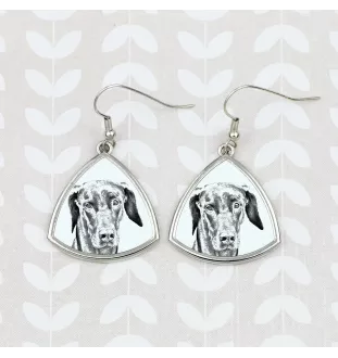 Dobermann - Hund Ohrringe, hängende Ohrringe mit Bild, personalisierter Schmuck mit dem Aufdruck der Marke Art-Dog