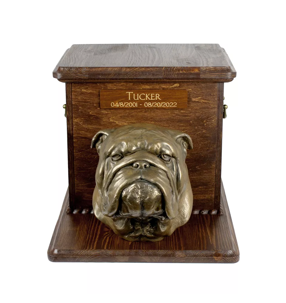 Bulldog, Englische Bulldogge - eine große Urne für die Asche des Hundes, eine hölzerne Urne mit dem Kopf des Hundes, eine Box für die Hundesasche der Marke Art-Dog