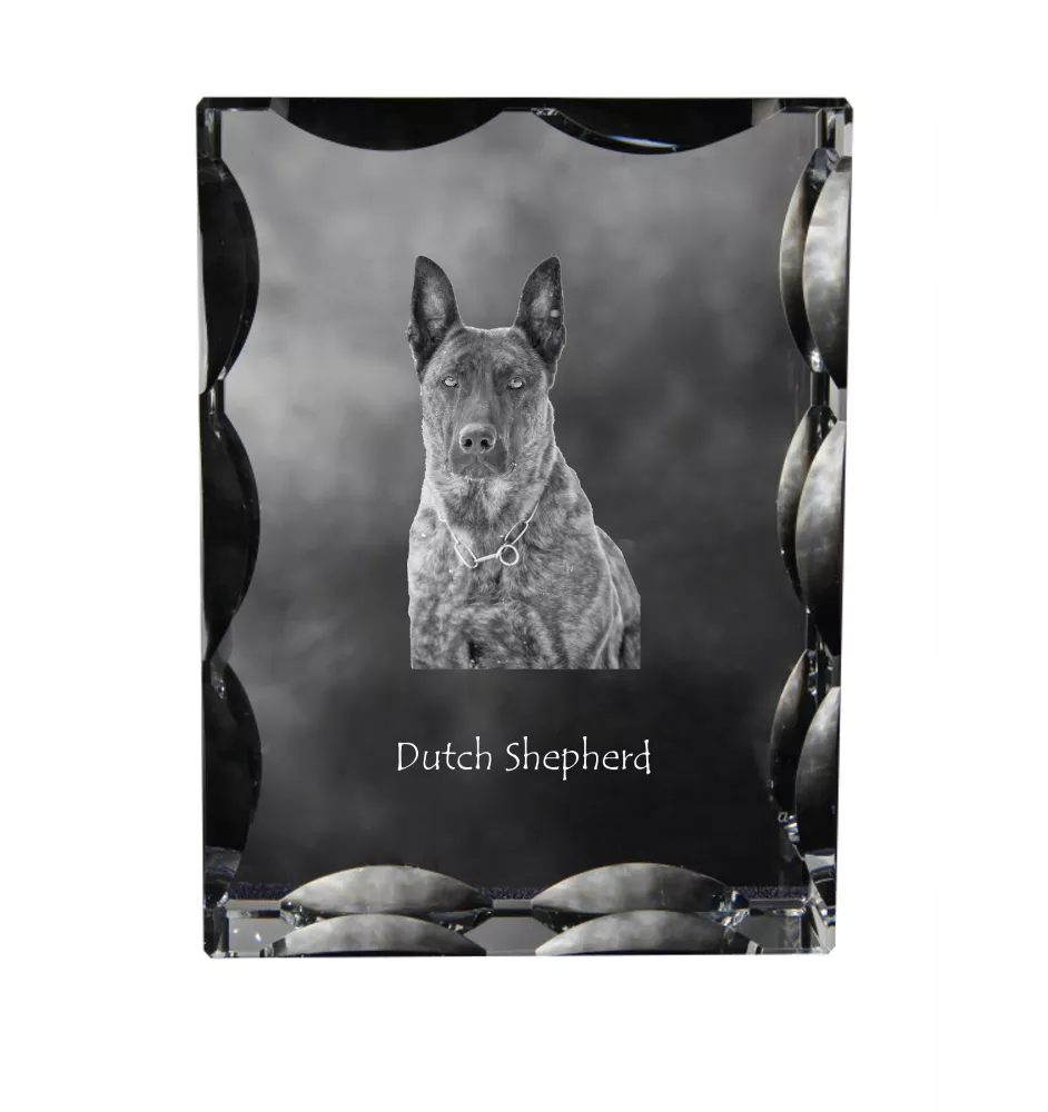 Holländischer Schäferhund, Hollandse Herdershond - Kristall mit einem Hundebild, Glasstatuette mit einem Bild, einzigartiger Bilderrahmen der Marke Art-Dog