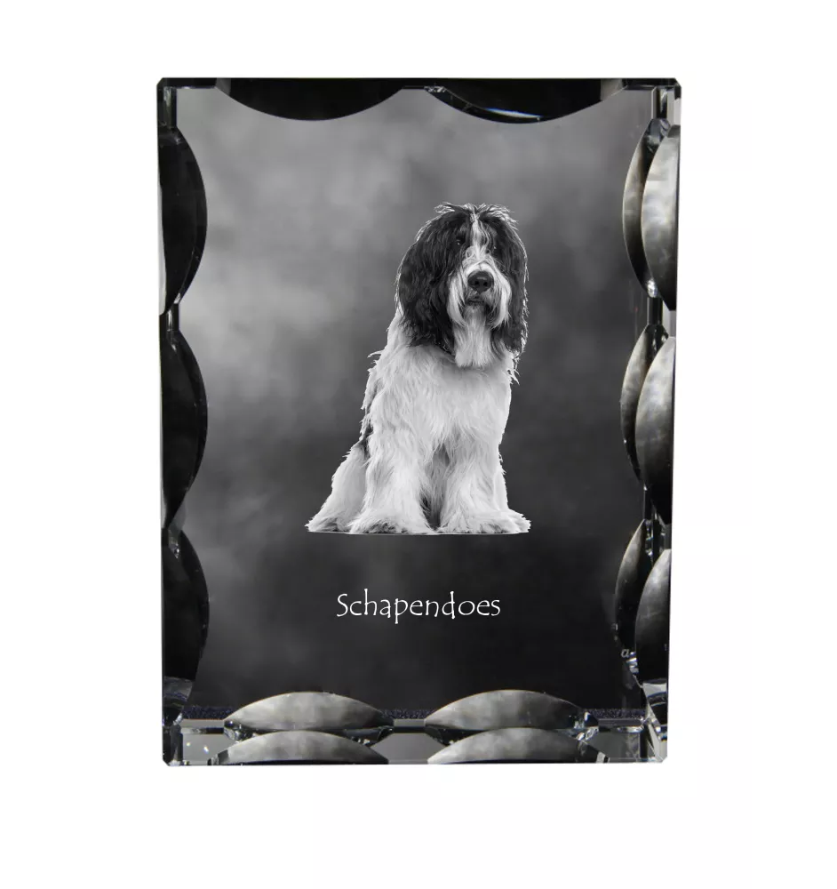 Schapendoes, Schapendoes néerlandais - cristal avec photo de chien, statuette en verre avec photo, cadre exceptionnel avec photo de la marque Art-Dog