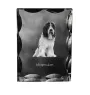 Schapendoes, Schapendoes néerlandais - cristal avec photo de chien, statuette en verre avec photo, cadre exceptionnel avec photo de la marque Art-Dog