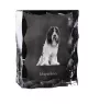 Schapendoes, Schapendoes néerlandais - cristal avec photo de chien, statuette en verre avec photo, cadre exceptionnel avec photo de la marque Art-Dog