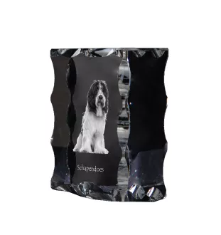 Schapendoes, Schapendoes néerlandais - cristal avec photo de chien, statuette en verre avec photo, cadre exceptionnel avec photo de la marque Art-Dog