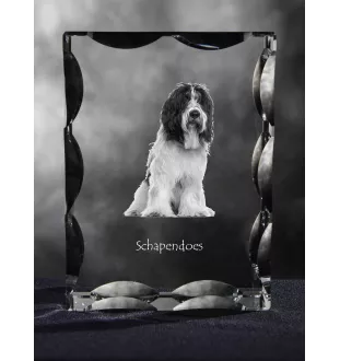 Schapendoes, Dutch Sheepdog, Nederlandse Schapendoes - crystal with a picture of a dog, glass statuette with a picture, unique frame with a picture from Art-Dog brand