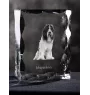 Schapendoes, Niederländischer Schapendoes - Kristall mit einem Hundebild, Glasstatuette mit einem Bild, einzigartiger Bilderrahmen der Marke Art-Dog