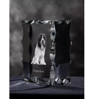 Schapendoes, Dutch Sheepdog, Nederlandse Schapendoes - crystal with a picture of a dog, glass statuette with a picture, unique frame with a picture from Art-Dog brand