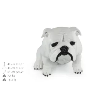Bulldog, English Bulldog, British Bulldog II - Life-size dog statue, 1:1 scale figure, statue for the garden by Art-Dog