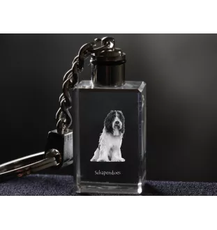 Schapendoes, Schapendoes néerlandais - Porte-clés en cristal avec photo de chien, porte-clés lumineux, cadeau unique de la marque Art-Dog