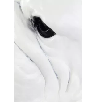 Bulldog, English Bulldog, British Bulldog II - dog bust, large dog head for the garden, unique living room decoration by Art-Dog brand