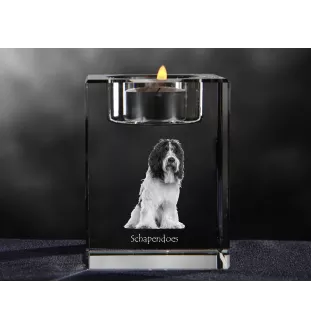 Schapendoes, Niederländischer Schapendoes - Kerzenhalter mit Hundefoto, Teelichthalter aus Kristall, personalisiertes Geschenk der Marke Art-Dog