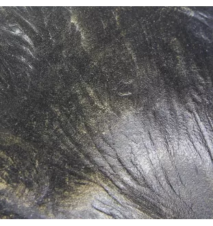 Bulldog, English Bulldog, British Bulldog I - urn for dog ashes, dog bust, large dog head for garden by Art-Dog