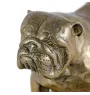 Bulldog, English Bulldog, British Bulldog IV - dog statue, figurine for office, trophy for dog show by Art-Dog brand