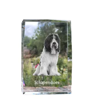 Schapendoes, Schapendoes néerlandais - cristal avec une photo de chien, photo sous verre, exposition moderne de la marque de photos Art-Dog