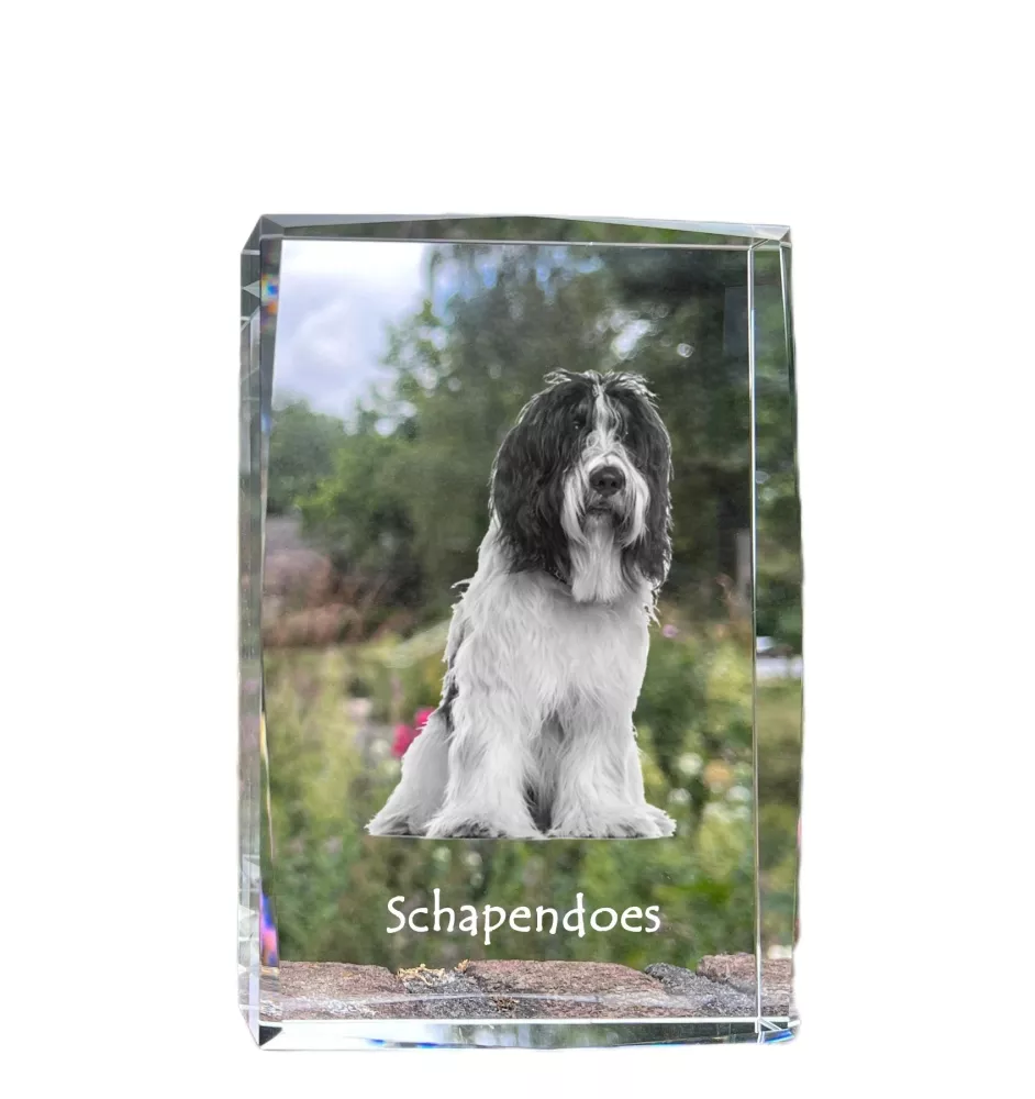 Schapendoes kryształ z psem Art-Dog