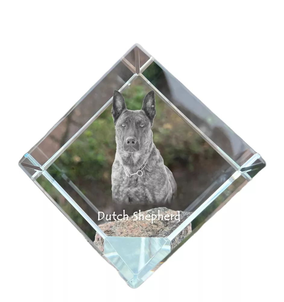 Holländischer Schäferhund, Hollandse Herdershond - Kristallwürfel mit Bild, Pferdebild im Kristall, sechseckiger Papierclip der Marke Art-Dog