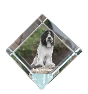 Schapendoes, Schapendoes néerlandais - un cube de cristal avec une photo, une photo de cheval dans le cristal, un presse-papiers cubique de la marque Art-Dog