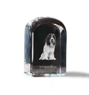 Schapendoes, Niederländischer Schapendoes - Kristallwürfel mit Bild, Hundebild im Kristall, sechseckiger Papierclip von Art-Dog.
