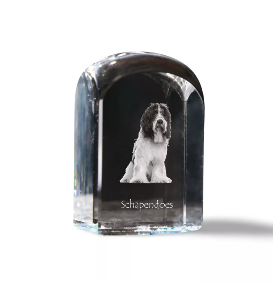 Schapendoes, Niederländischer Schapendoes - Kristallwürfel mit Bild, Hundebild im Kristall, sechseckiger Papierclip von Art-Dog.