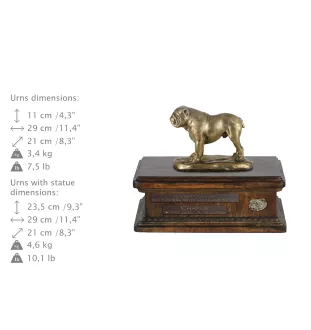 Bulldog, Englische Bulldogge I urne in Hundeasche, personalisierte Urne mit Statue, Holzurne mit Hund von Art-Dog