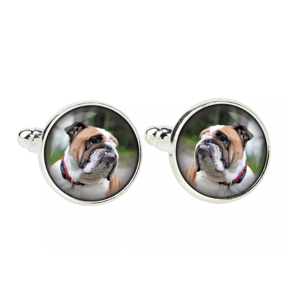Bulldog, Bulldog anglais - boutons de manchette, décoration de chemise, pendentif de chemise de la marque Art-Dog