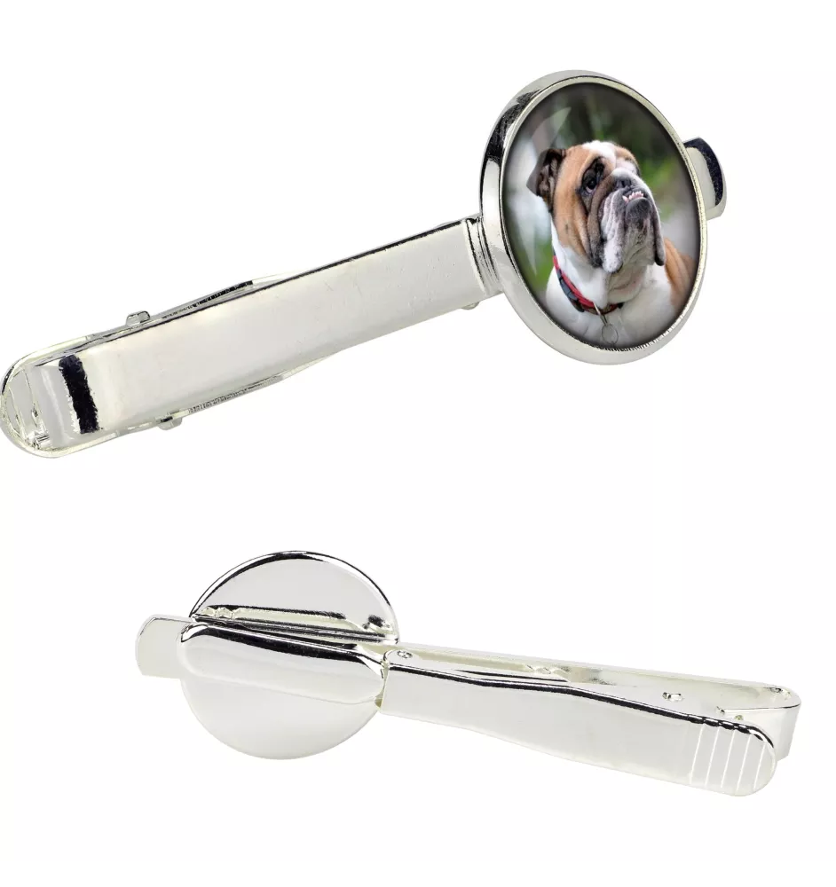 Bulldog, English Bulldog, British Bulldog - tie clip in a box, stylish tie, personalized jewelry from the Art-Dog brand