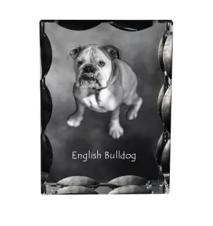 Bulldog, Englische Bulldogge - Kristall mit einem Hundebild, Glasstatuette mit einem Bild, einzigartiger Bilderrahmen der Marke Art-Dog