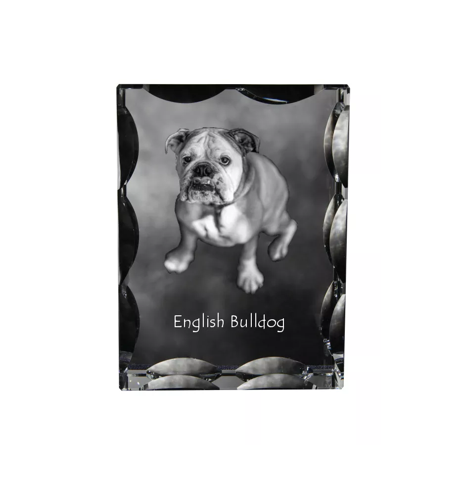 Bulldog, English Bulldog, British Bulldog - crystal with a picture of a dog, glass statuette with a picture, unique frame with a picture from Art-Dog brand