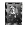 Bulldog, English Bulldog, British Bulldog - crystal with a picture of a dog, glass statuette with a picture, unique frame with a picture from Art-Dog brand