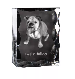 Bulldog, Englische Bulldogge - Kristall mit einem Hundebild, Glasstatuette mit einem Bild, einzigartiger Bilderrahmen der Marke Art-Dog