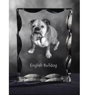 Bulldog, Bulldog anglais - cristal avec photo de chien, statuette en verre avec photo, cadre exceptionnel avec photo de la marque Art-Dog