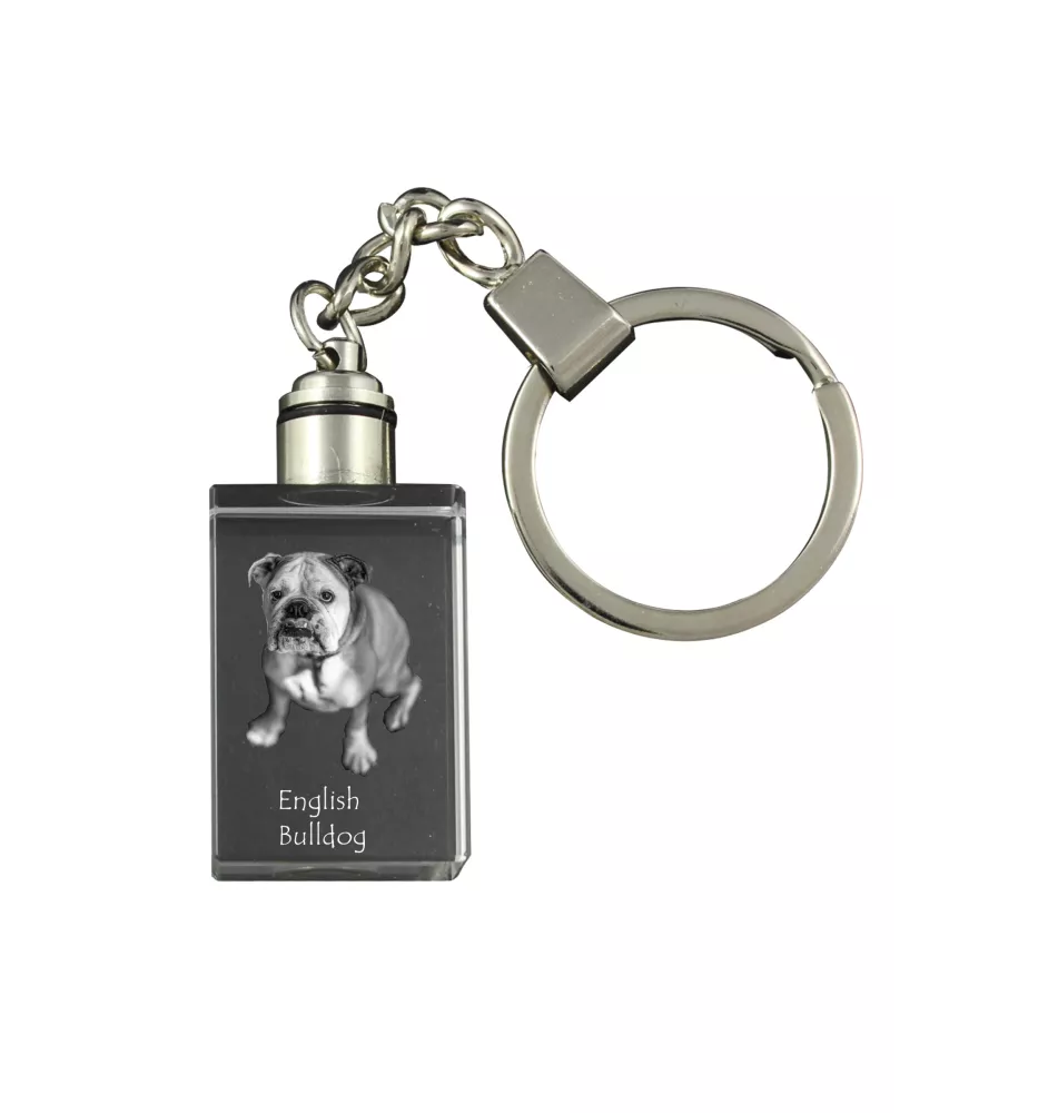 Bulldog, English Bulldog, British Bulldog - Crystal key ring with dog photo, illuminated key ring, unique gift by Art-Dog brand