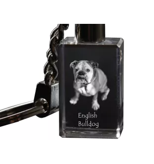 Bulldog, English Bulldog, British Bulldog - Crystal key ring with dog photo, illuminated key ring, unique gift by Art-Dog brand