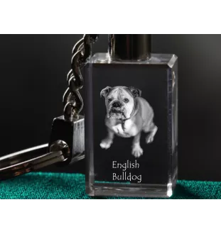 Bulldog, English Bulldog, British Bulldog - Crystal key ring with dog photo, illuminated key ring, unique gift by Art-Dog brand