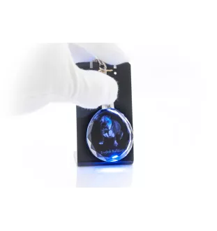 Bulldog, Englische Bulldogge - Anhänger mit einem Foto eines Hundes, Schlüsselanhänger aus Kristall in einer Geschenkbox, ein einzigartiges Geschenk von Art-Dog