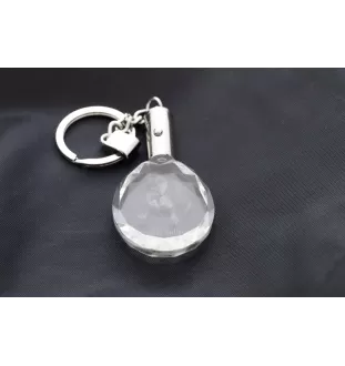 Bulldog, Englische Bulldogge - Anhänger mit einem Foto eines Hundes, Schlüsselanhänger aus Kristall in einer Geschenkbox, ein einzigartiges Geschenk von Art-Dog