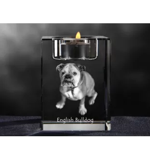 Bulldog, English Bulldog, British Bulldog - Candle holder with dog photo, crystal tealight holder, personalised gift by Art-Dog brand