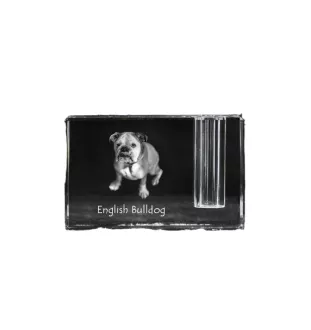 Bulldog, Englische Bulldogge - Stifthalter, Kristallorganizer mit Hundefoto, einzigartige Schreibtischdekoration der Marke Art-Dog