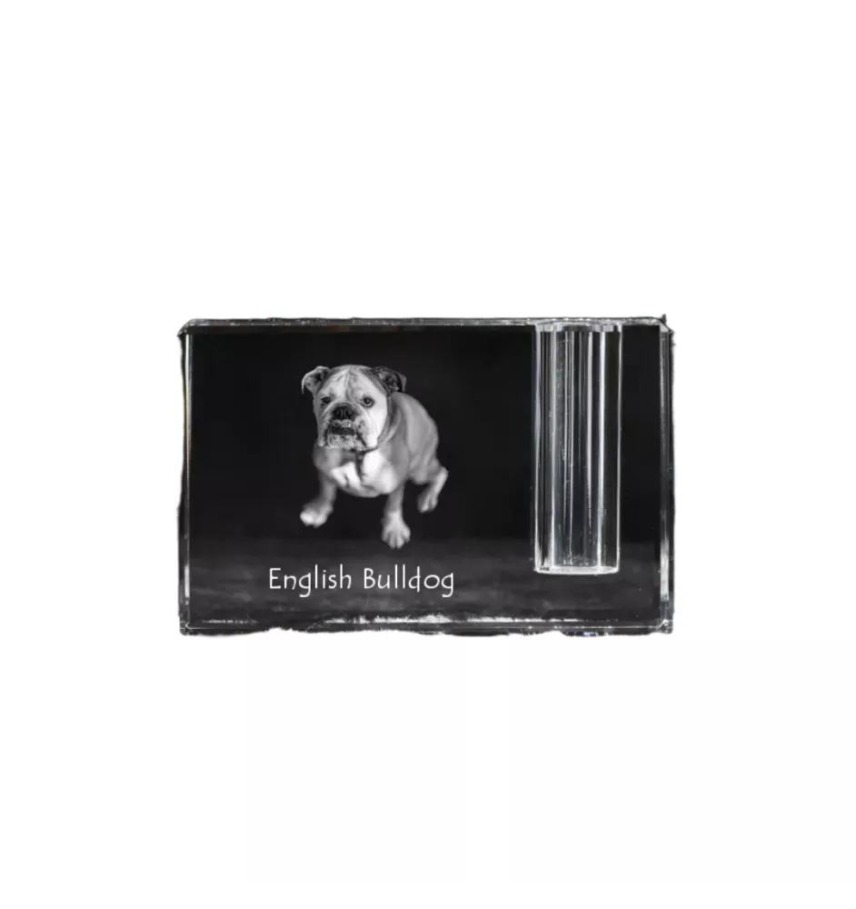 Bulldog, English Bulldog, British Bulldog - Pen stand, crystal organiser with dog photo, unique desk decoration by Art-Dog brand
