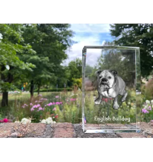 Bulldog, English Bulldog, British Bulldog - crystal with a picture of a dog, photo in glass, modern exhibition of Art-Dog brand photo