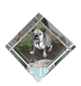 Bulldog, Englische Bulldogge - Kristallwürfel mit Bild, Pferdebild im Kristall, sechseckiger Papierclip der Marke Art-Dog