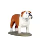 Bulldog, Bulldog anglais II - figurine peinte, statue, sculpture, réalisée par l'artiste, marque Art-Dog