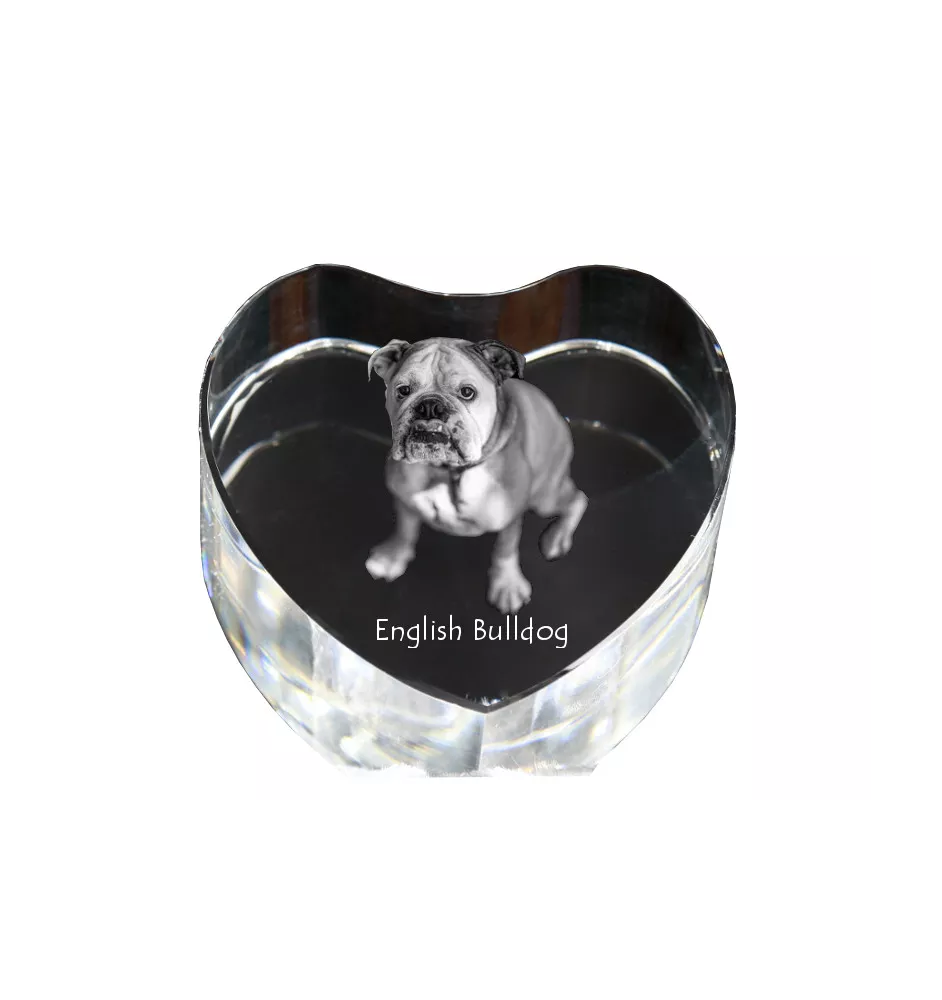 Bulldog, Englische Bulldogge - Hundebild im Kristall, Kristallherz, einzigartiger Bilderrahmen der Marke Art-Dog