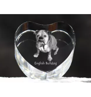 Bulldog, Englische Bulldogge - Hundebild im Kristall, Kristallherz, einzigartiger Bilderrahmen der Marke Art-Dog